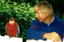 Der Papagei der Finca