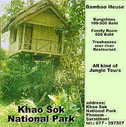Bmboo House, Khao Sok (16K)