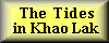 The Tides in Khao Lak